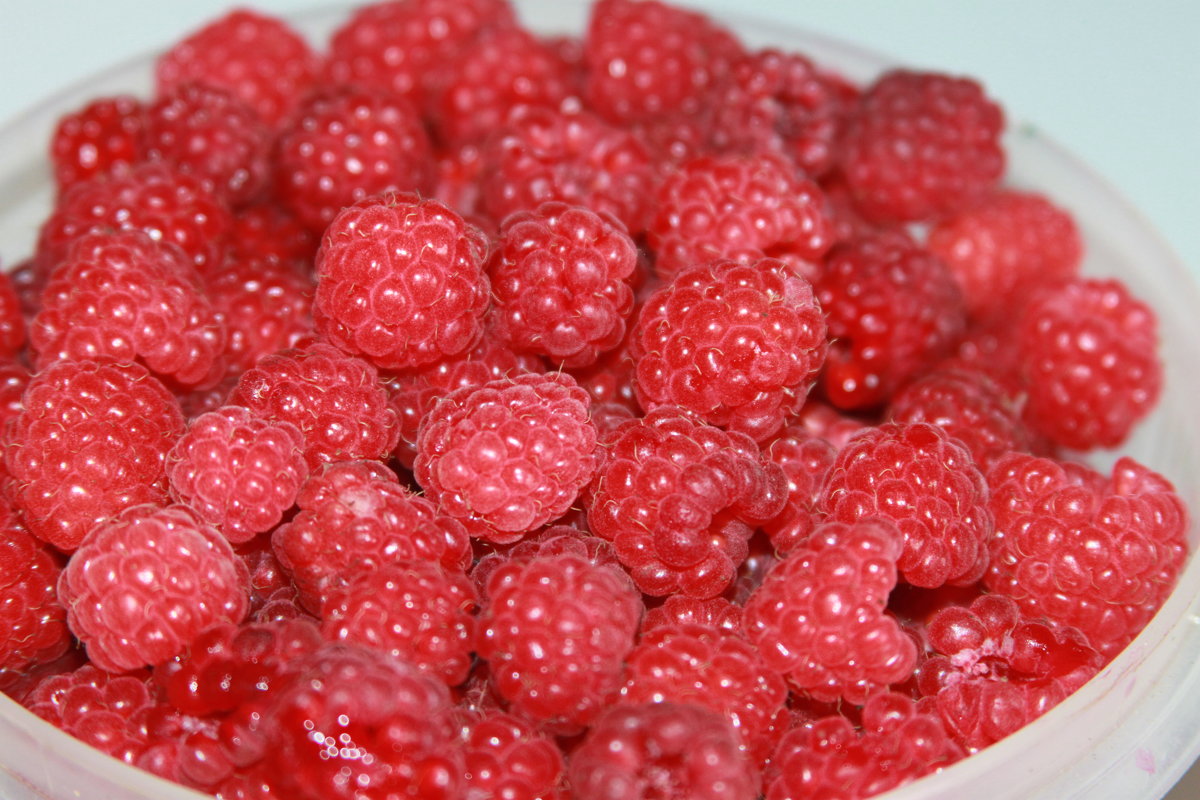 Вкус лета - Алла ZALLA Вкус лета - Алла ZALLA