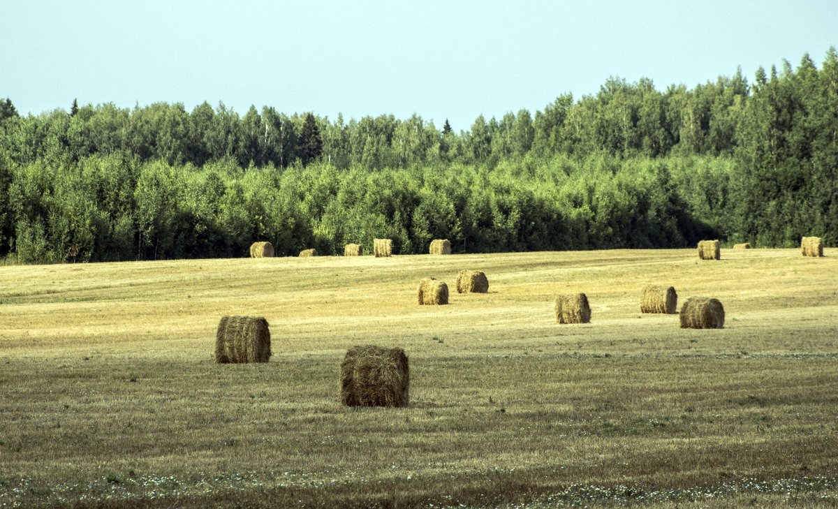 +++ - Наталья 