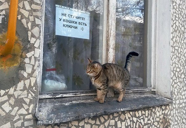 У кошки есть ключи - Натали Плюс Плюсенкова