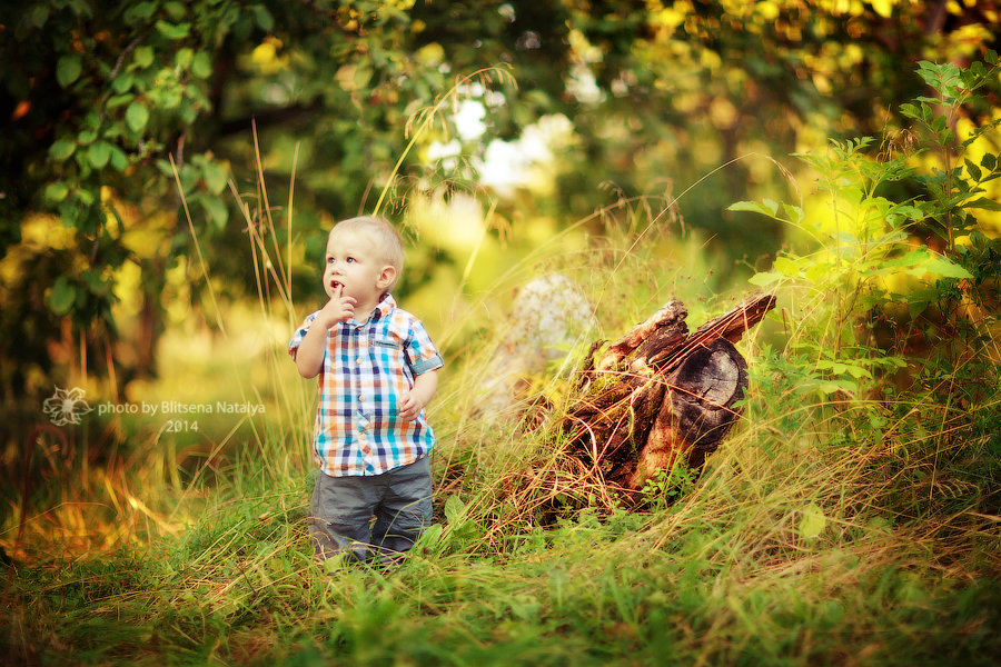 Лето 2014 - Наталья Блицена