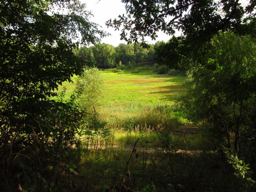 Пруд пересох IMG_5481 - Андрей Лукьянов Пруд пересох IMG_5481 - Андрей Лукьянов