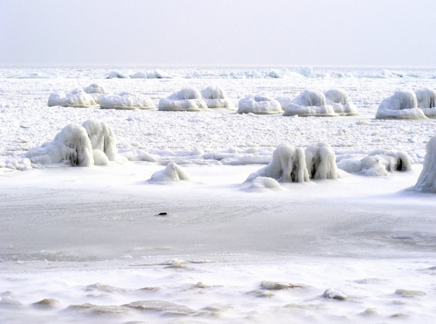 Море замерзло - Александр Скамо