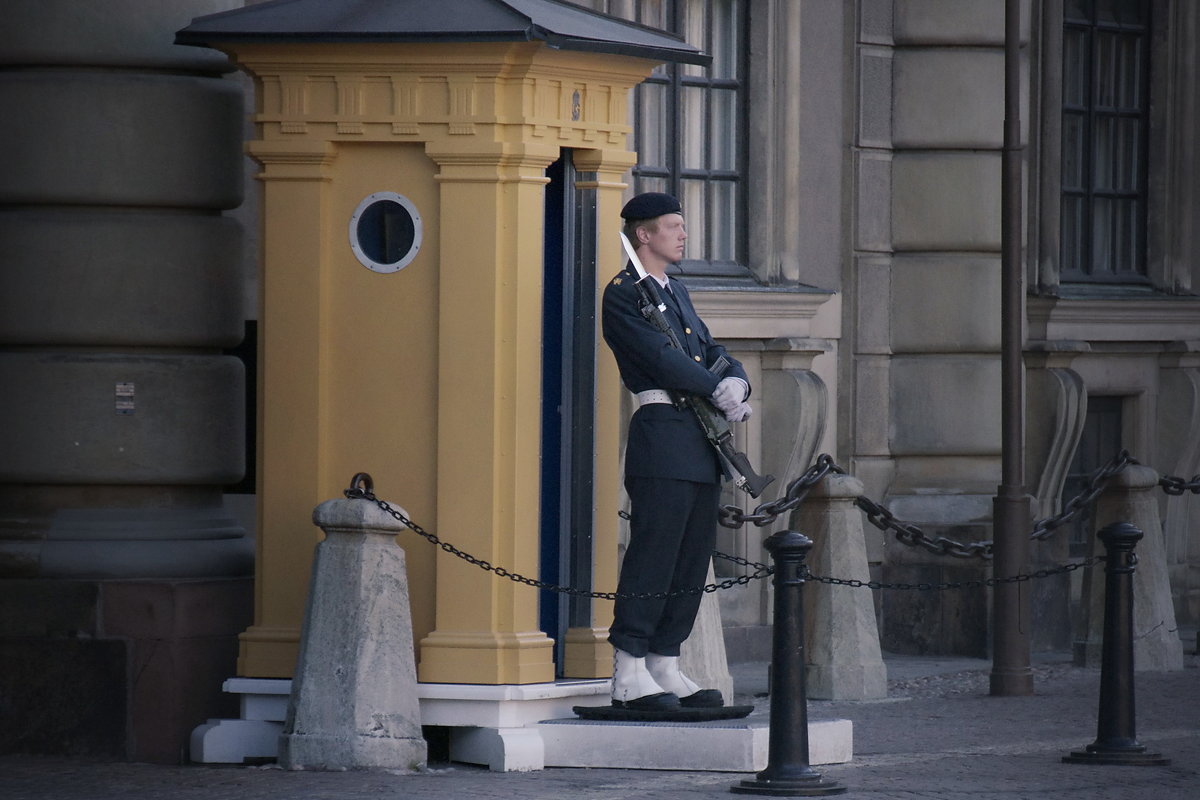 Караул у королевского дворца.Стокгольм. - Валерий Стогов