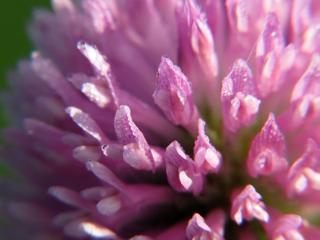 внутри..... - Елена Швецова внутри..... - Елена Швецова