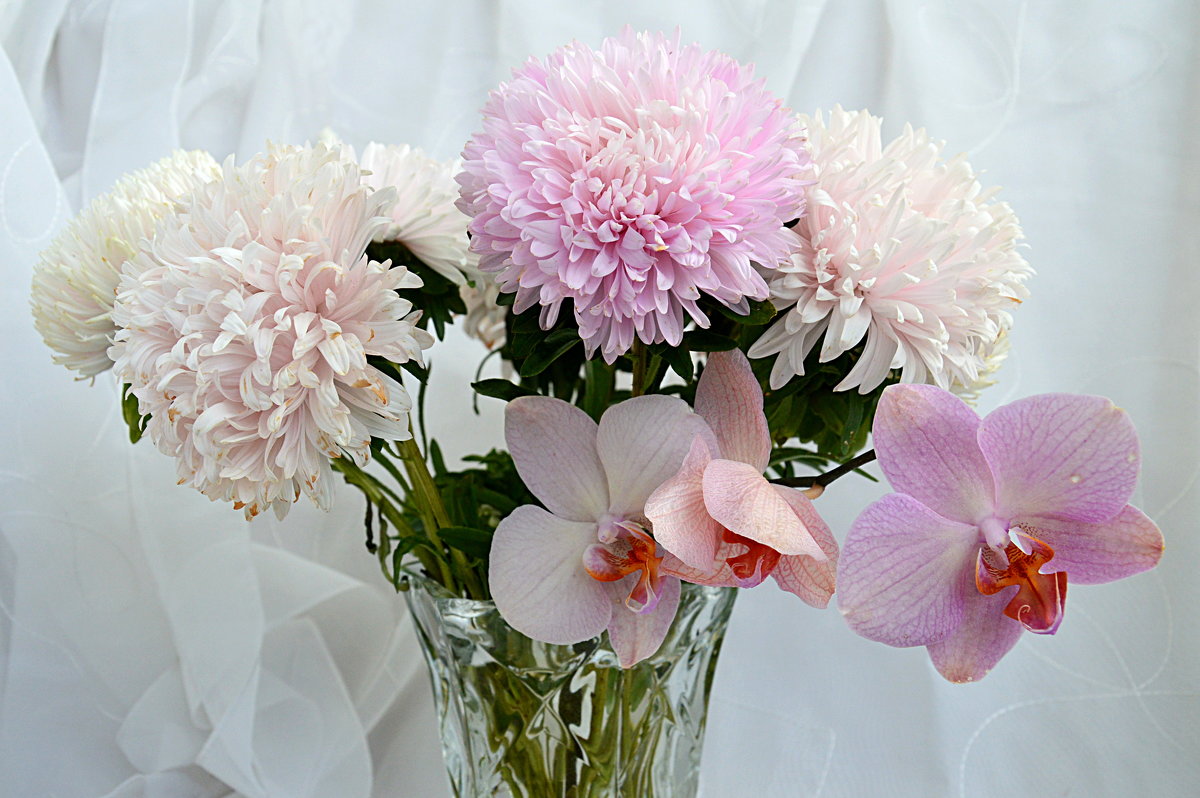 Увядающие, но все еще прелестные... - Наталия Лыкова Увядающие, но все еще прелестные... - Наталия Лыкова