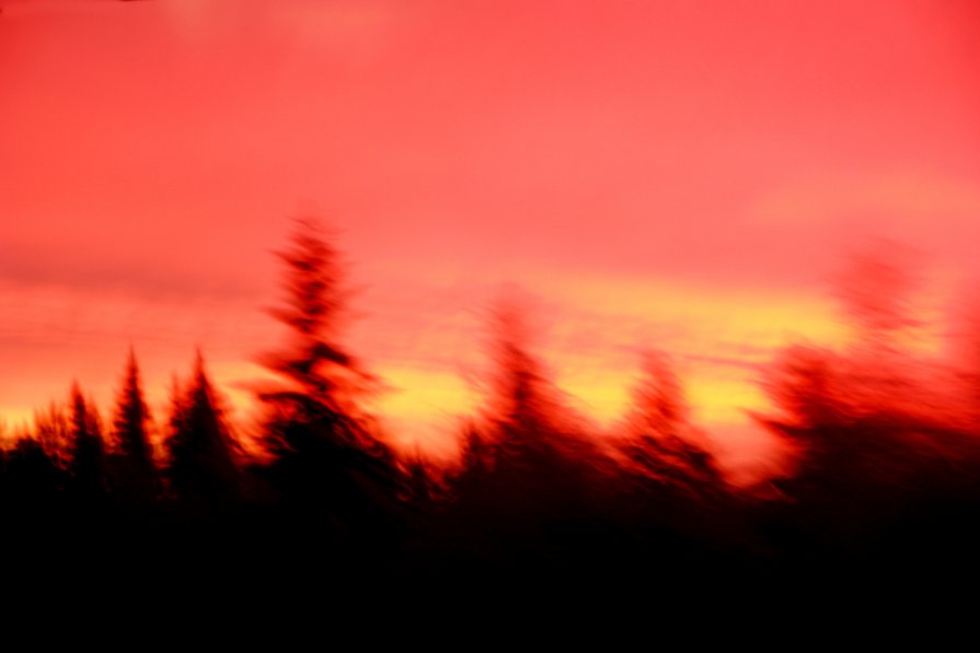 Тайга в огне. - Андрей Гирман