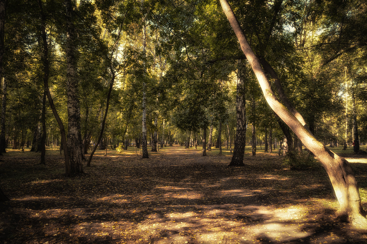 *** - Елена Черненко *** - Елена Черненко