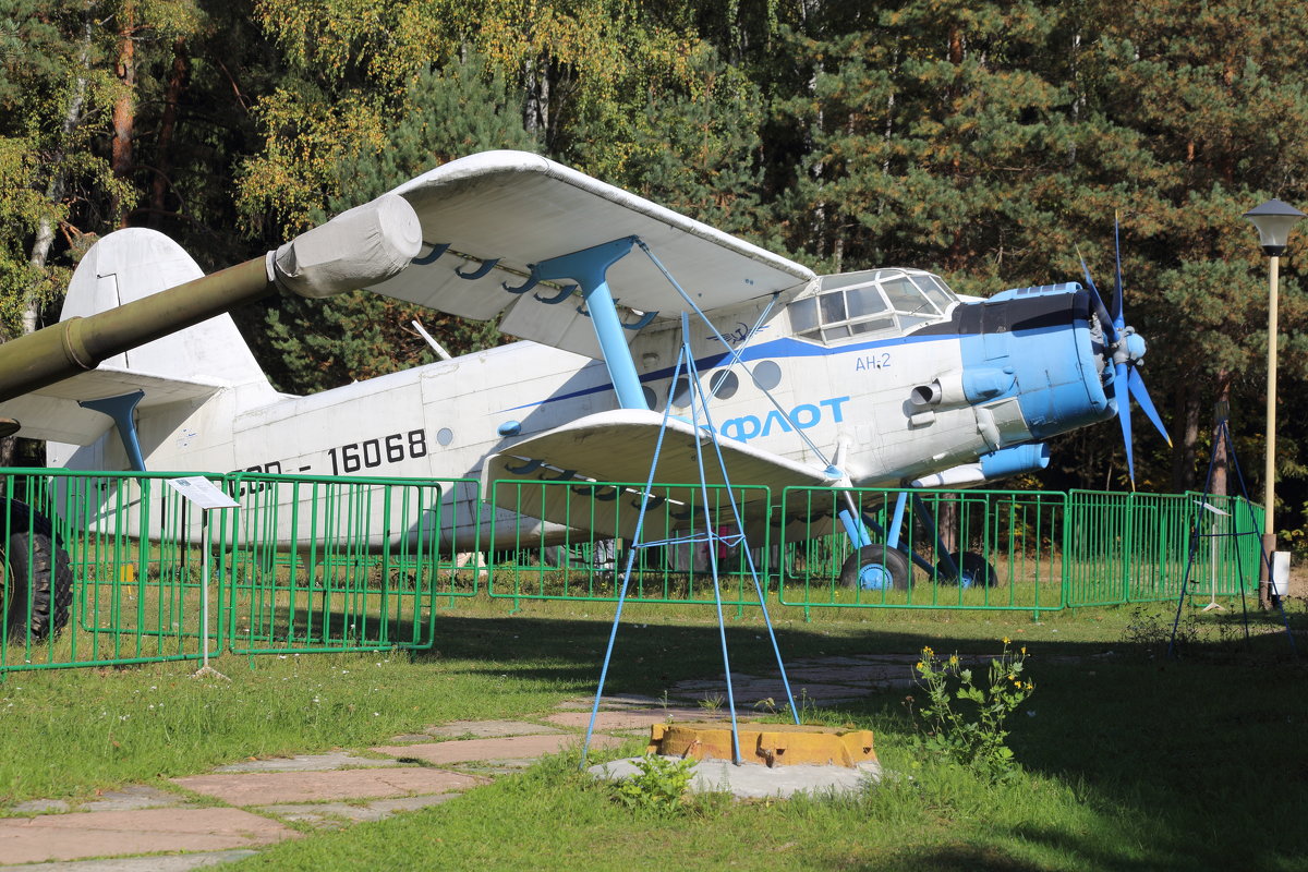 Самолёт - Соколов Сергей Васильевич 