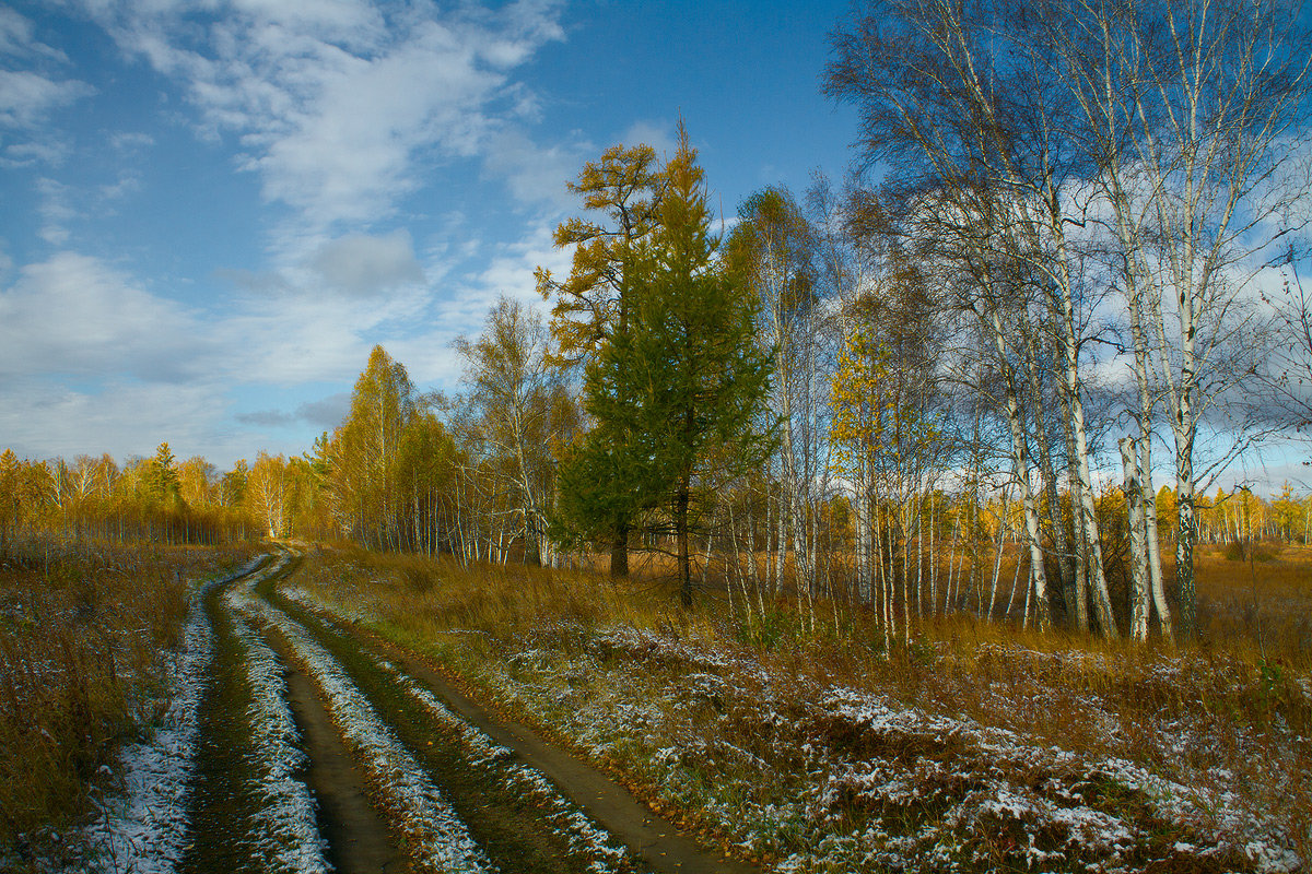 Сентябрь. Прогулка в осень (2) - Николай Морский 