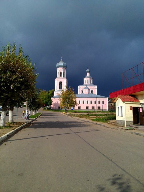 Перед грозой - Наталья Левина