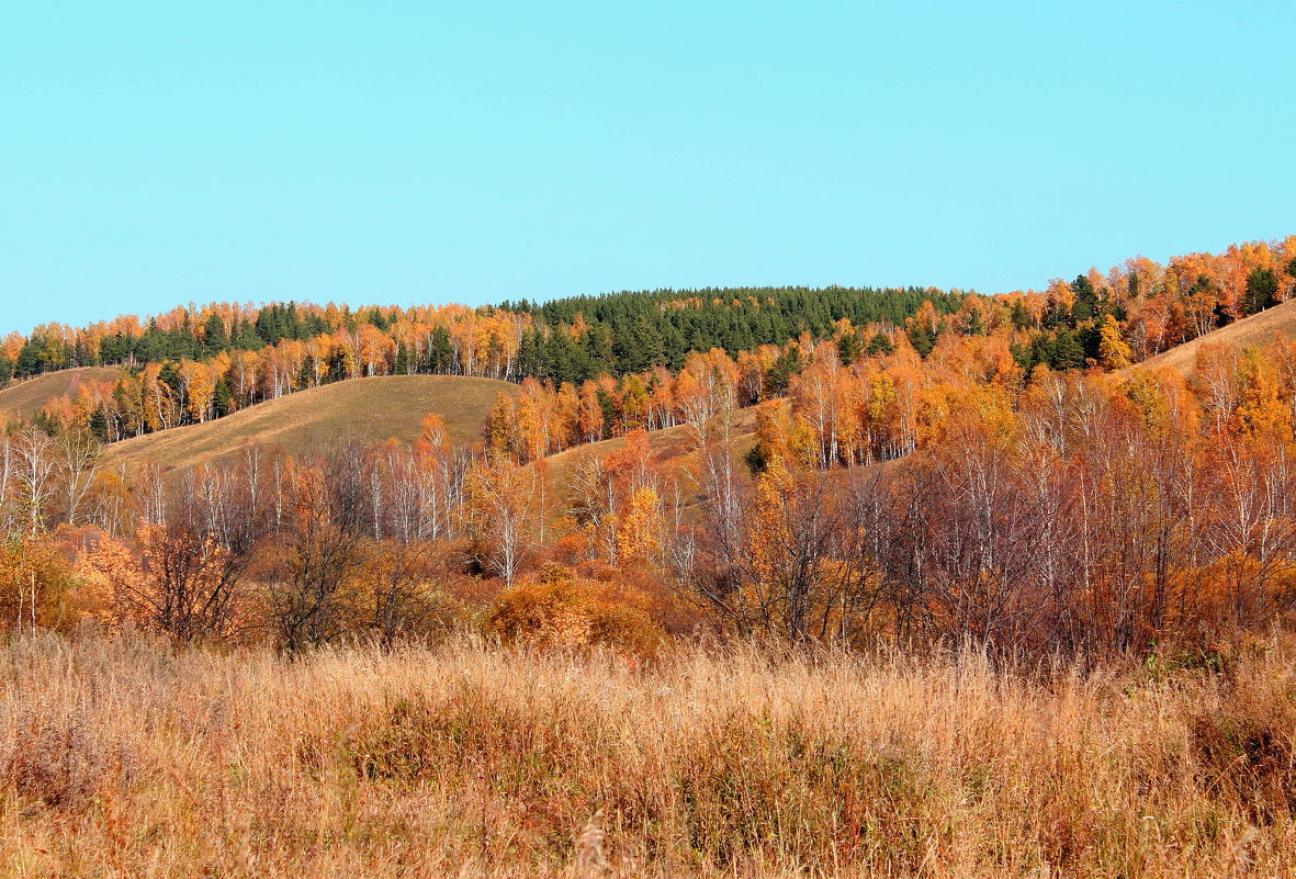 ... - Евгений ... - Евгений