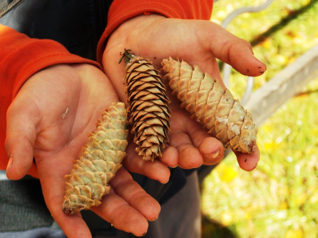 Добыча /2/ - Фотогруппа Весна Добыча /2/ - Фотогруппа Весна