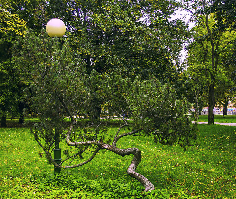 *** - juriy luskin *** - juriy luskin