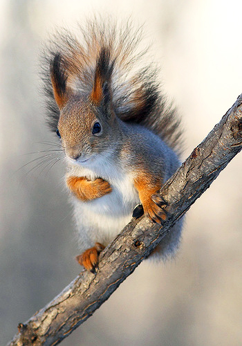 Всего вам доброго - Николай Климович