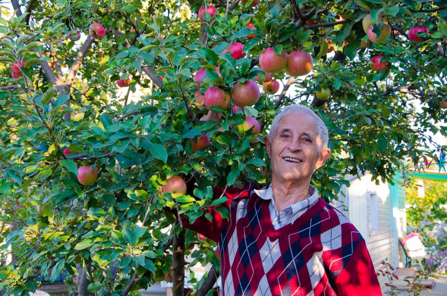 Хорош урожай! - Игорь Кладов