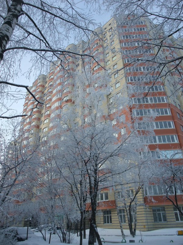 В снежных кружевах - Елена Лукожева