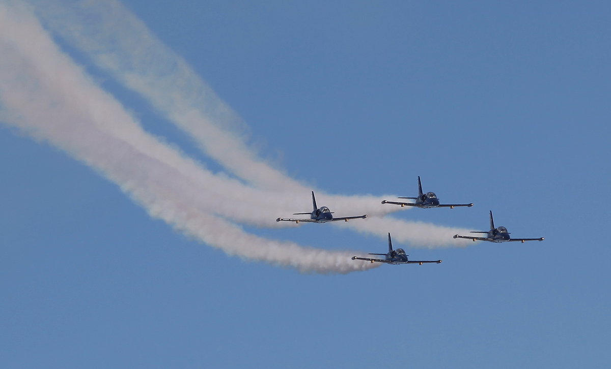 Пилотажная группа «Русь», Aero L-39 Albatros - Андрей Lyz