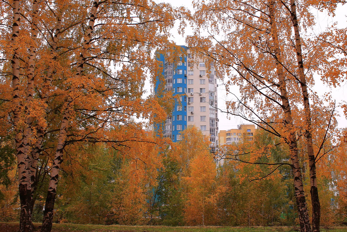 В городе осень - Татьяна Ломтева