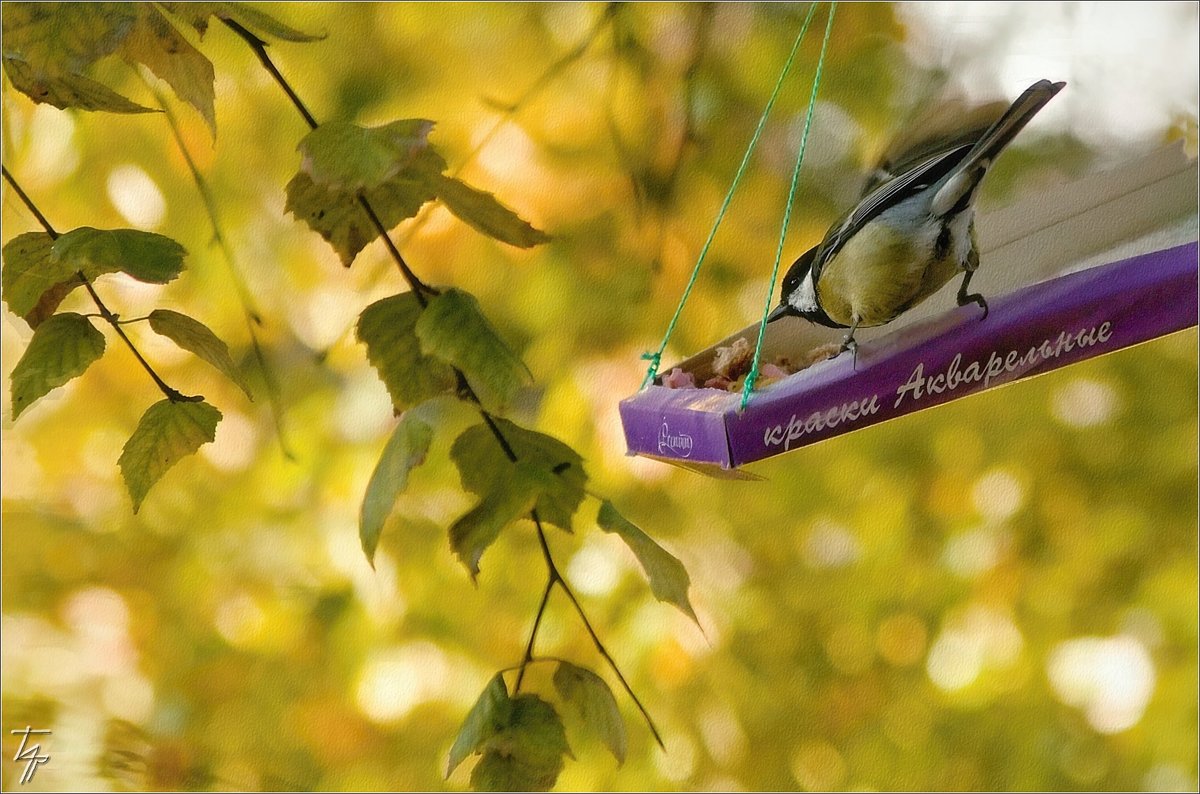 ...ТАК ВОТ КТО РАЗБРАСЫВАЕТ КРАСКИ ОСЕНИ... - Тарасенко Владимир ...ТАК ВОТ КТО РАЗБРАСЫВАЕТ КРАСКИ ОСЕНИ... - Тарасенко Владимир