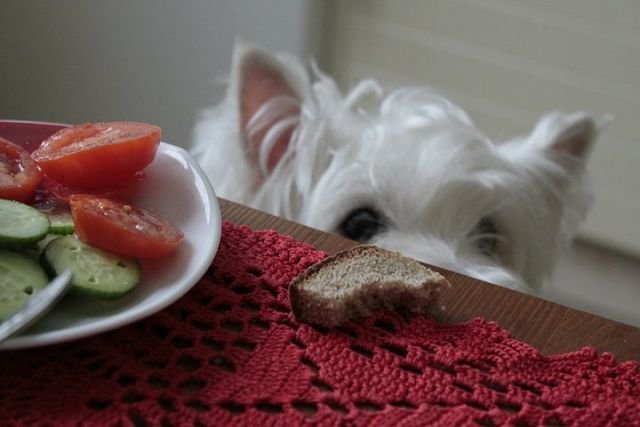 Сила воли - Lesya Dorfman