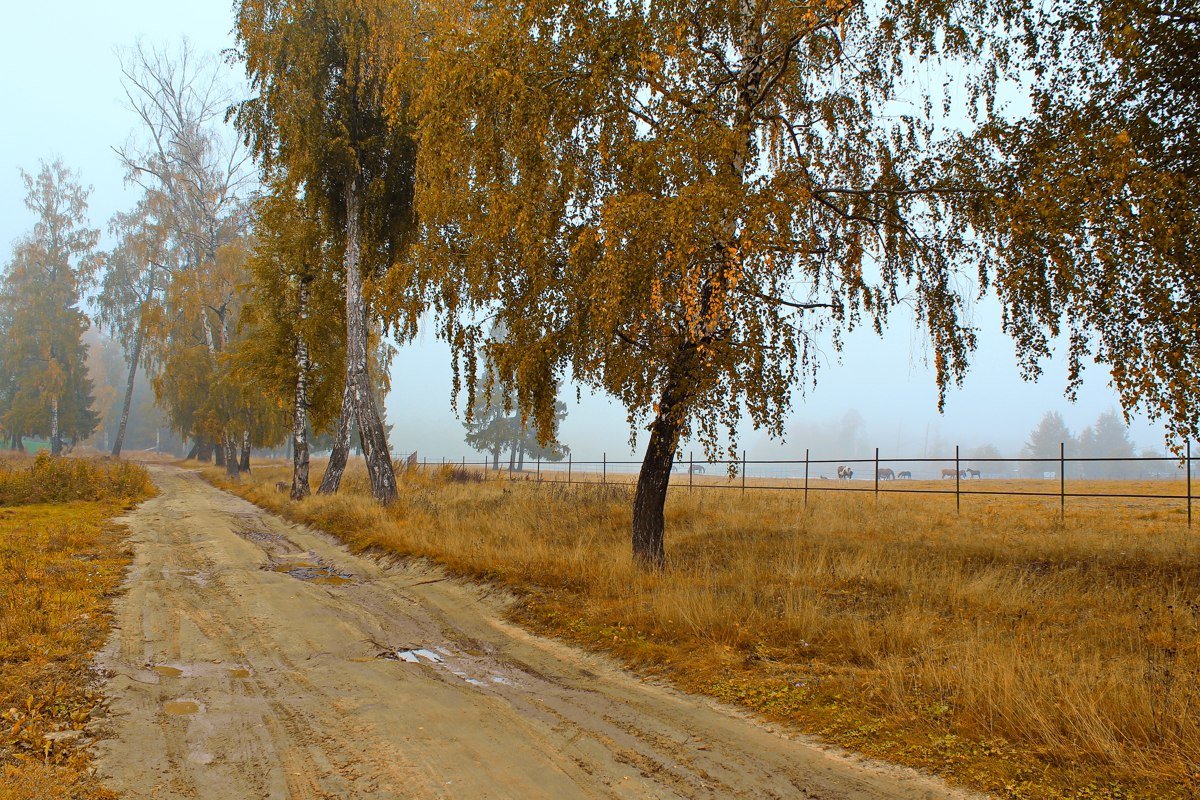 Осенняя - Александр Лукин