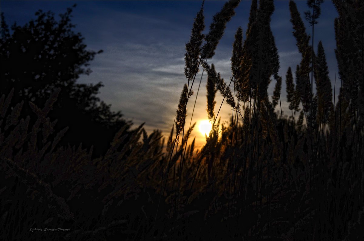 Last summer beauty - Tatiana Kretova