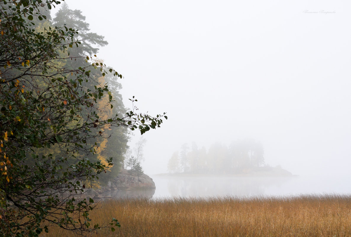 Укрытый туманом - Татьяна Петранова