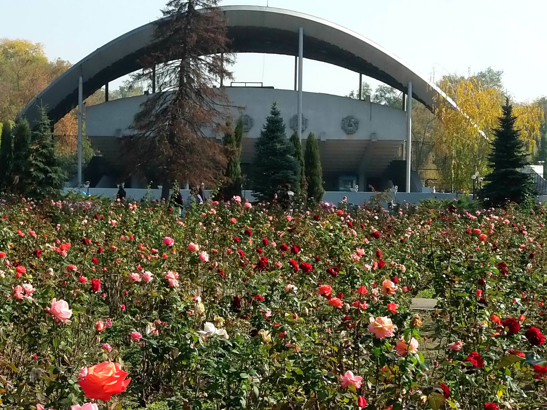 Октябрь уж наступил! - Наталья 