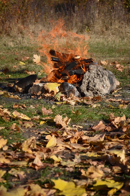 Огненная осень - Tatiana Kretova Огненная осень - Tatiana Kretova