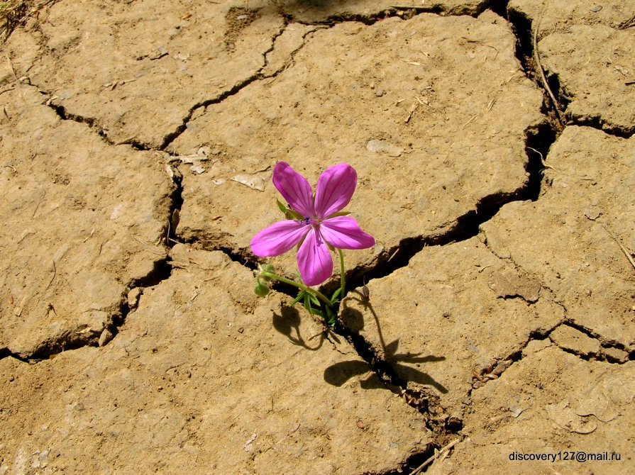 новый этап - юрий шалыгин