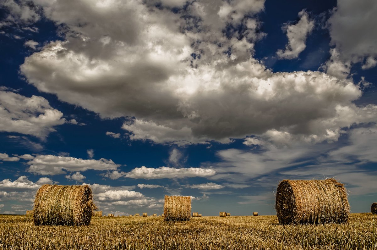 Аура Высшего Разума - Константин Бобинский
