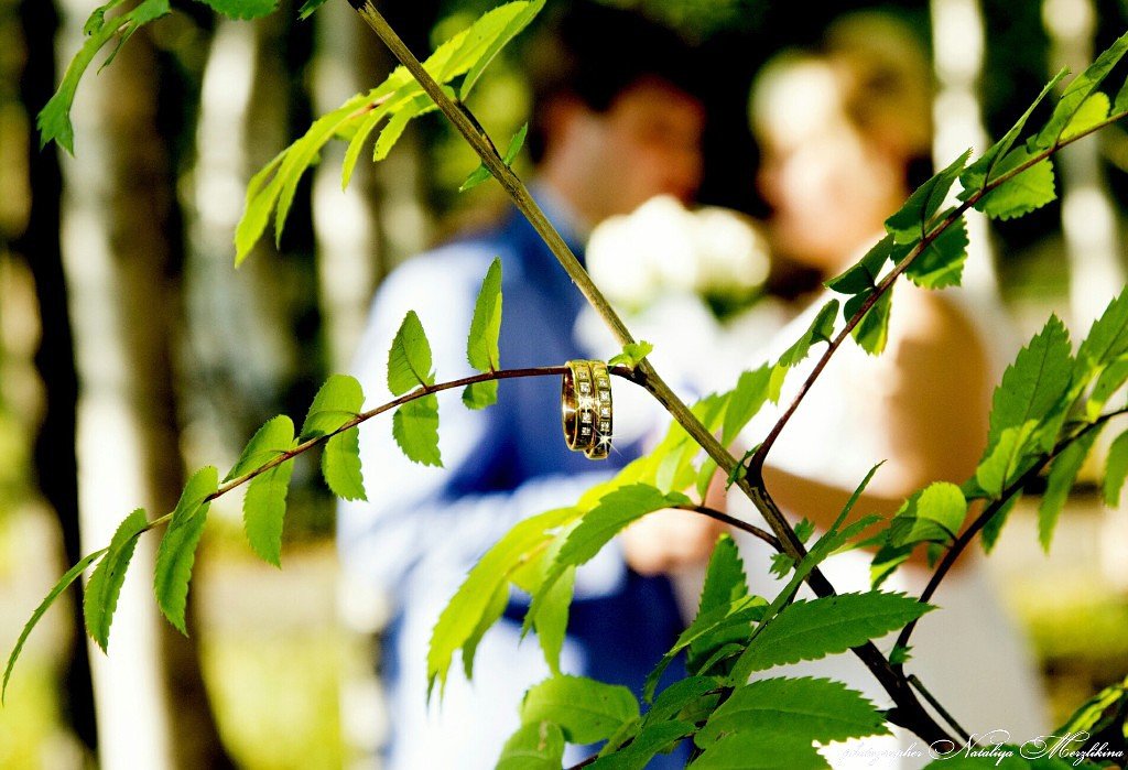 свадьба Евгения и Светланы - Наталья Мерзликина