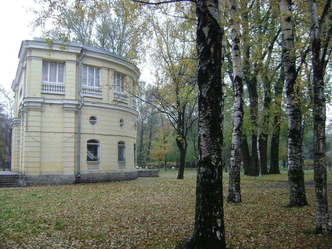 Осень - Марина Домосилецкая