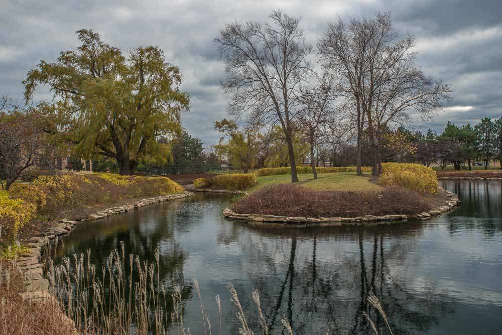 В осеннем парке. - Gene Brumer В осеннем парке. - Gene Brumer