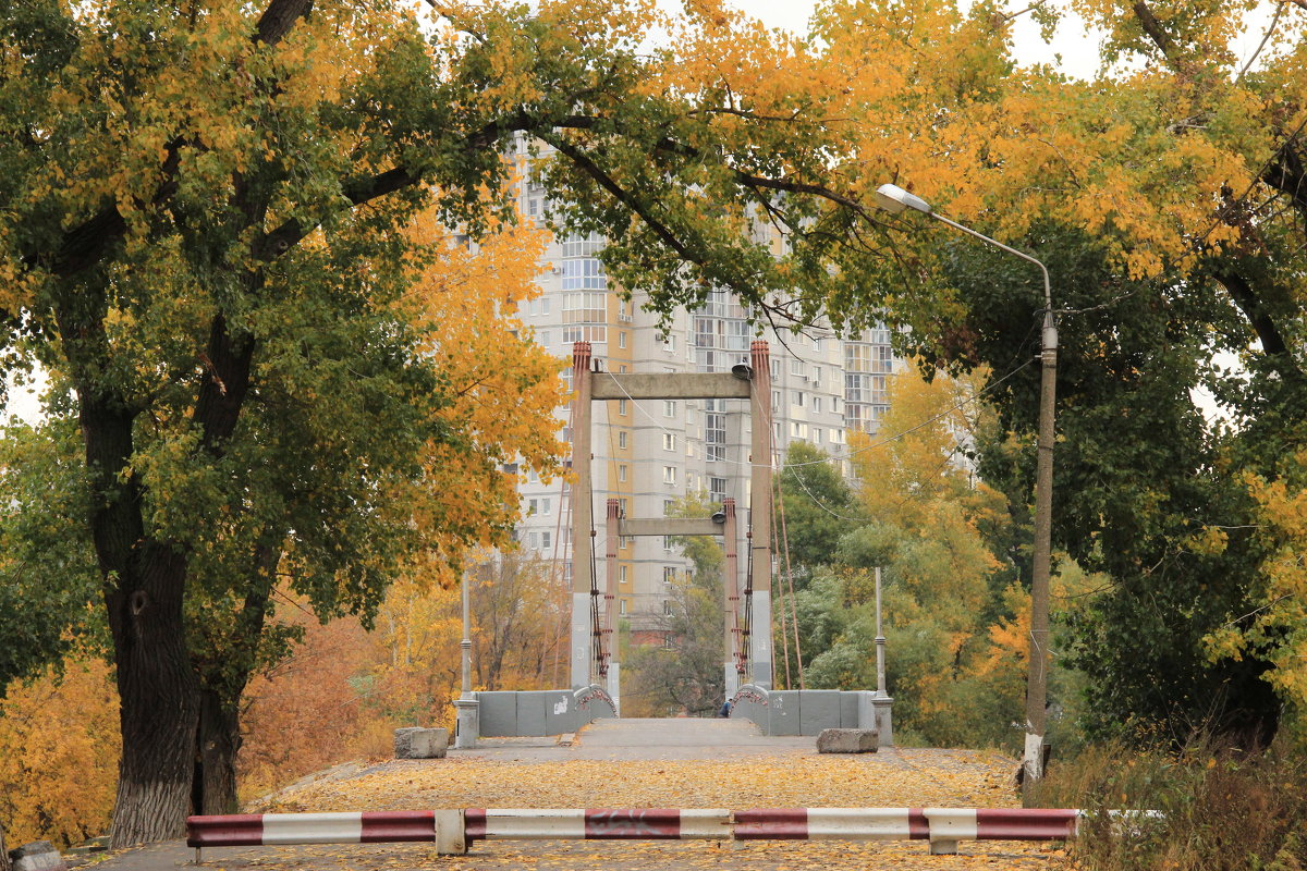 осень - Наташа Шамаева