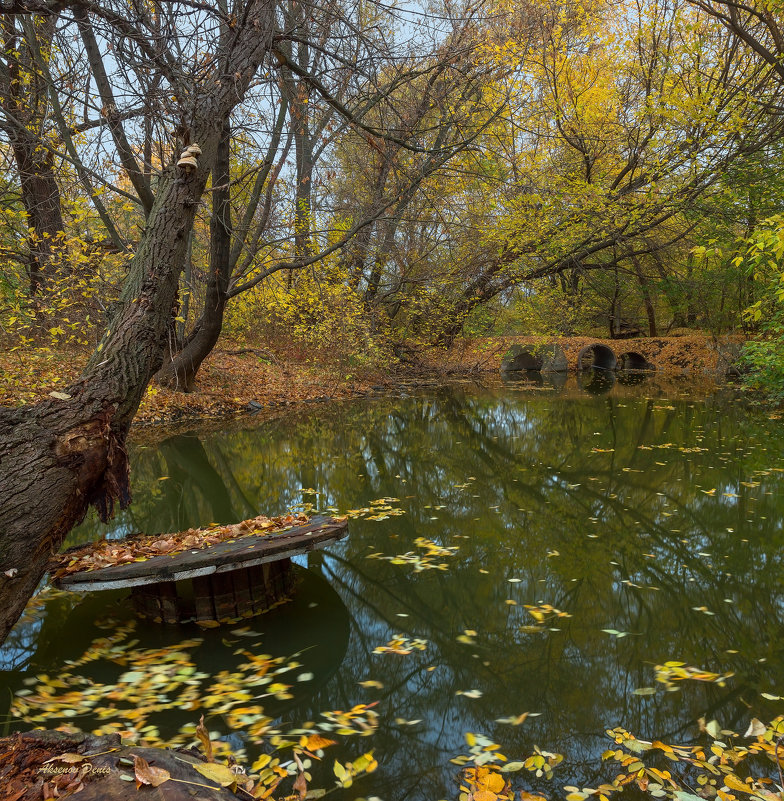 Осенним утром ... - Denis Aksenov