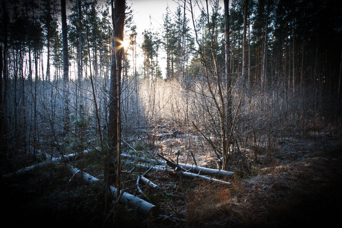 *** - Василий Смысленов