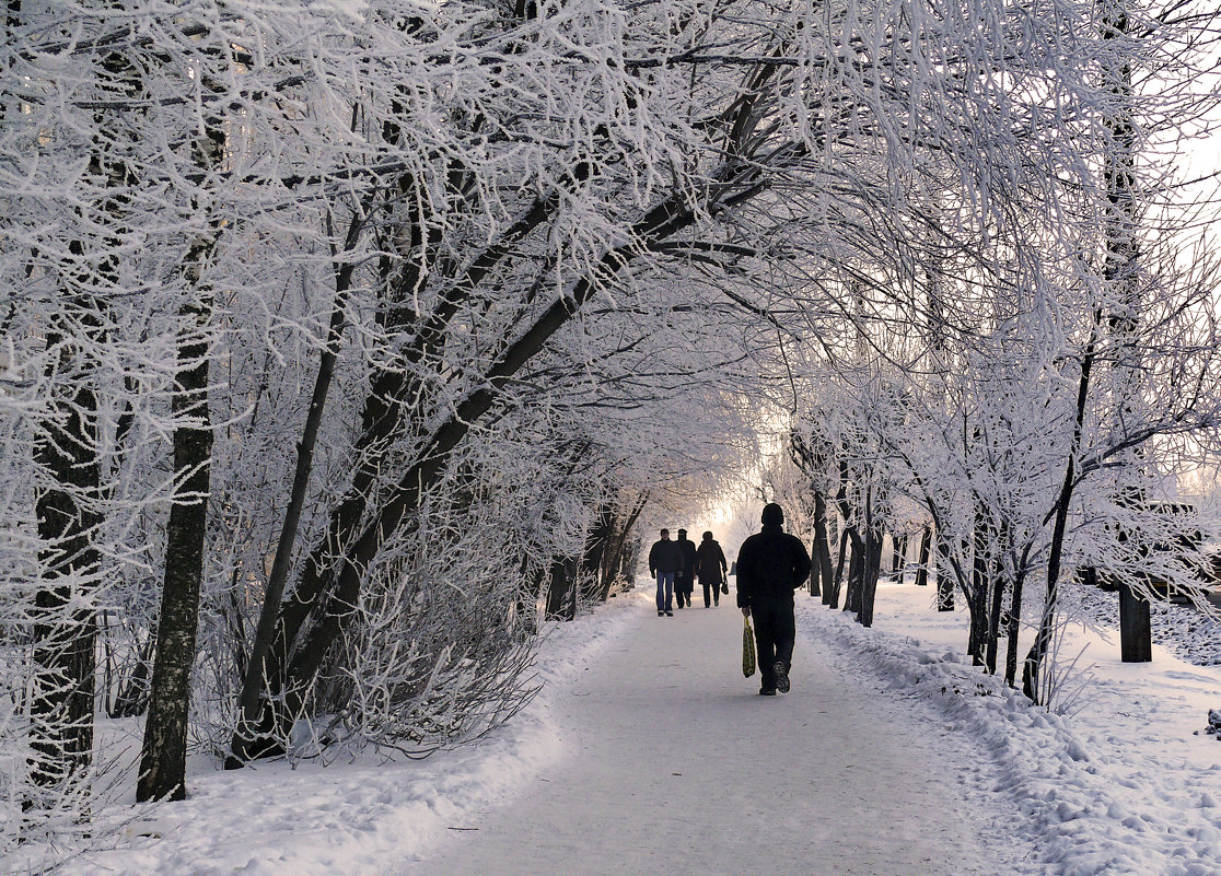 приморозило - gribushko грибушко Николай