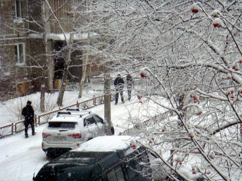 А,снег идет.... - Елизавета Успенская А,снег идет.... - Елизавета Успенская