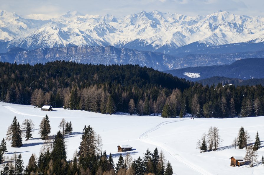 Careza Ski - Lisa Buzova