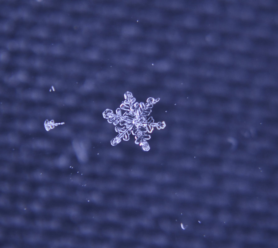 * - ганичев алексей 