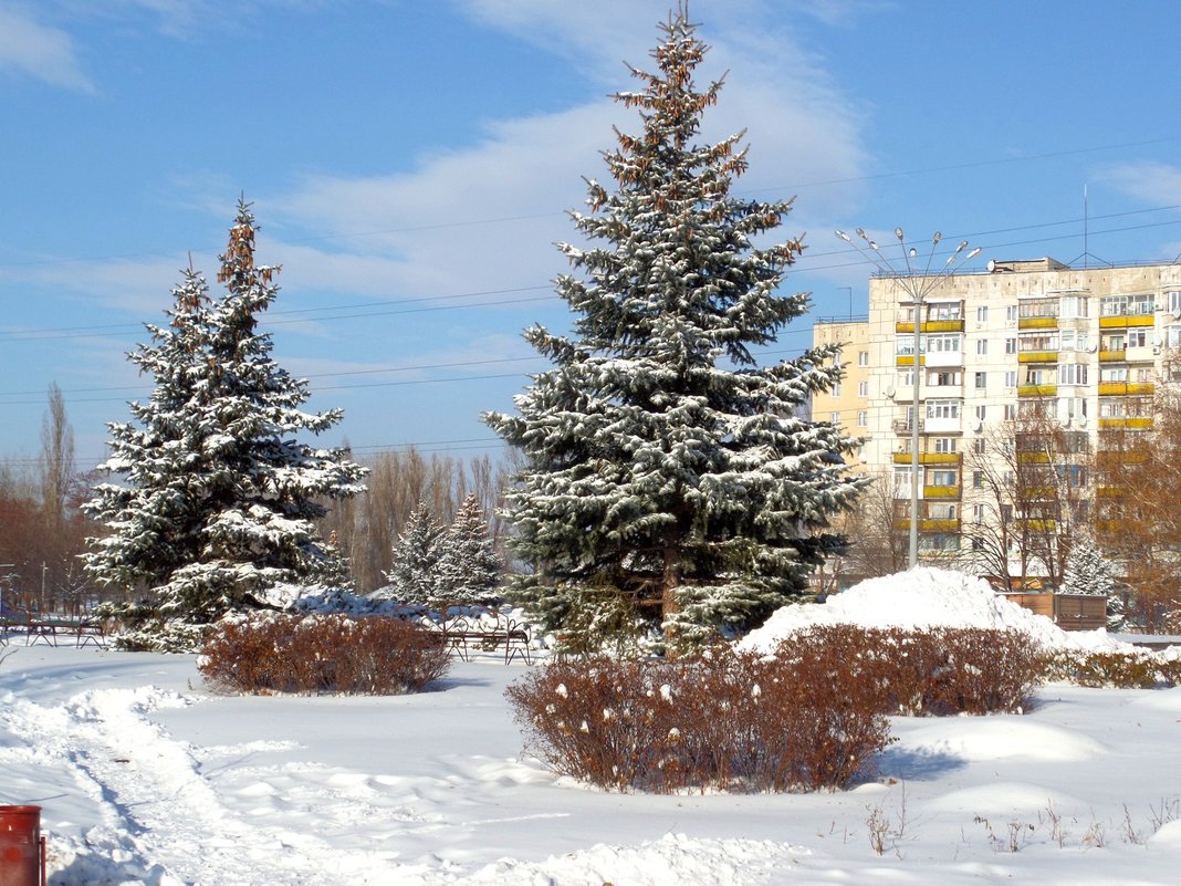 Зима в моём городе.. - Сергей Петров