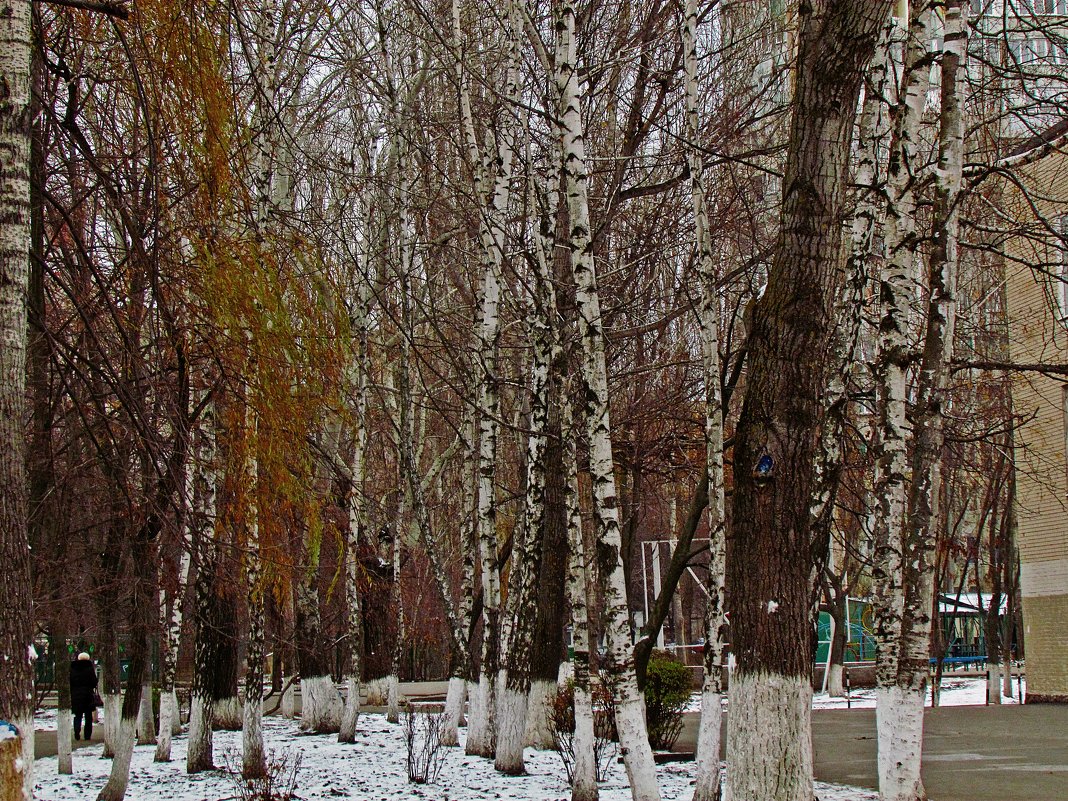 краски зимнего утра - Александр Корчемный