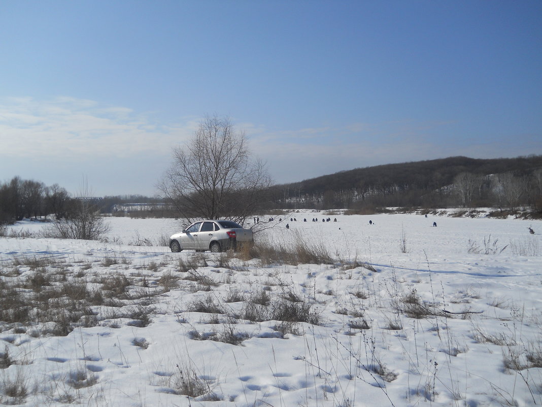 Зима - Галина Медведева