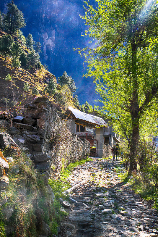 Марина Махова - Manali, India - Фотоконкурс Epson