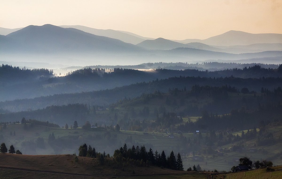 *** - Андрій Кізима