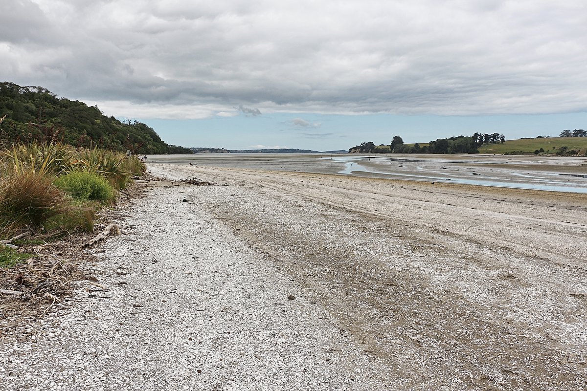 Отступивший океан - Анатолий Коробейников