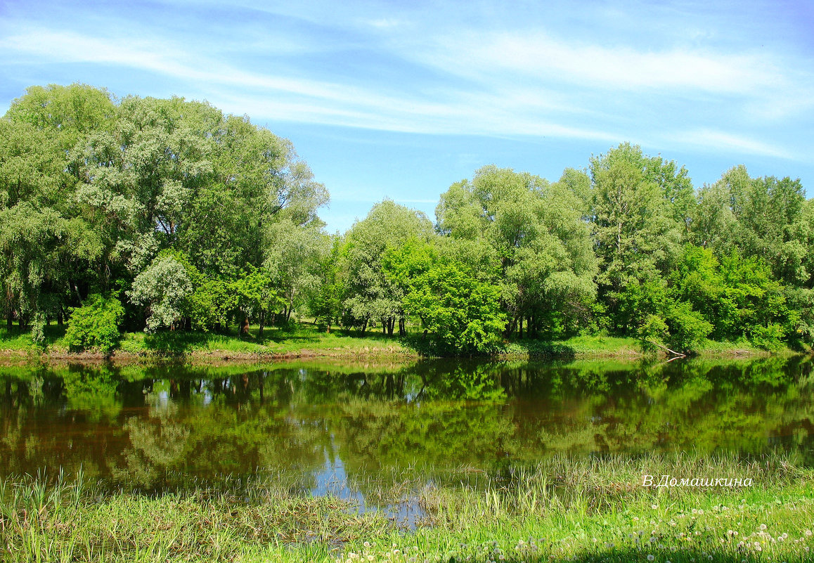 Водная гладь. - Валентина Домашкина