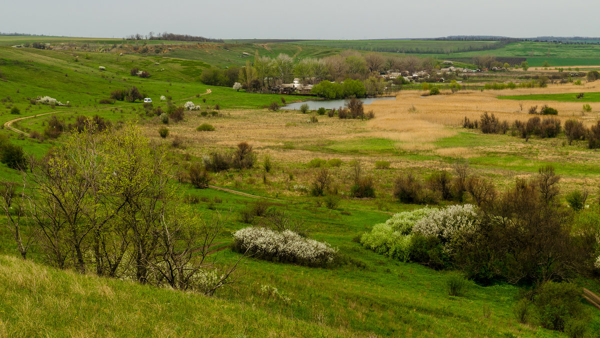 Дорога на Дачу - серж 