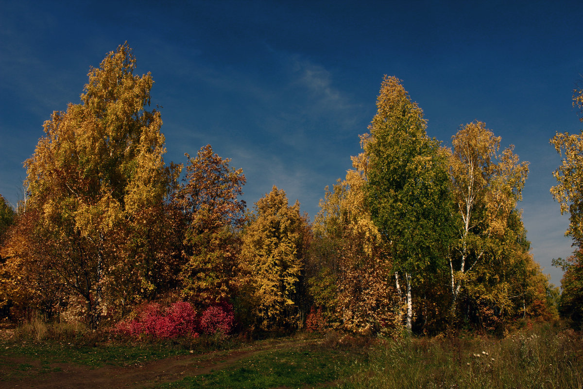 осень - ильнур 